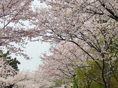 -尚贤河湿地