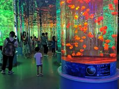 -石家庄海洋公园