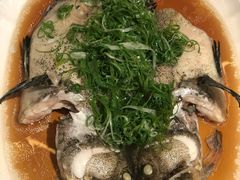 -欣叶食艺轩