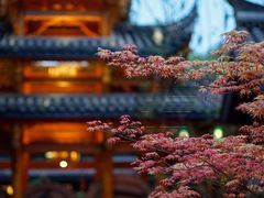 -鱼桥巷·美学川菜