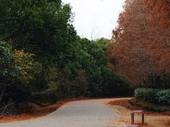 -上海海湾国家森林公园