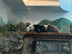 -武汉动物园