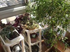 -北京利康运达搬家公司