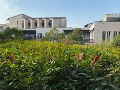 -上海崇明金茂凯悦酒店