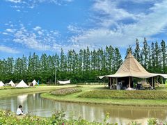 -上海长兴岛郊野公园