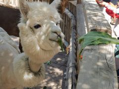 -水上乐园·欢乐世界