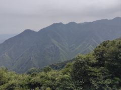 -江南天池