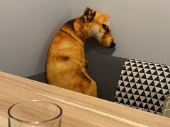 -捌楼咖啡书吧(南开店)
