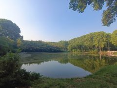 -河南省黄河迎宾馆