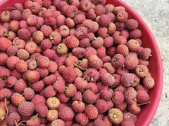 -柴米多CHIMIDO·滇味食堂(浦东嘉里城店)