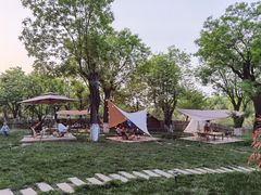 -Supine Bistro溯泮餐厅