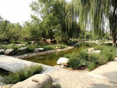 -石家庄市植物园