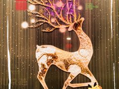 -宏宴·新京菜(望京店)