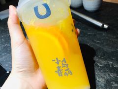 -春丽小马(济南恒隆广场店)
