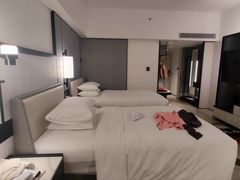 -新加坡乌节希尔顿酒店 (SG Clean)