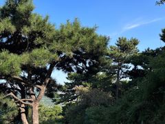 -北京西山国家森林公园