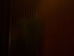 -泰适SPA馆丨精油·按摩·足道(购物公园店)