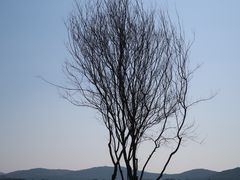 -贡湖湾湿地公园