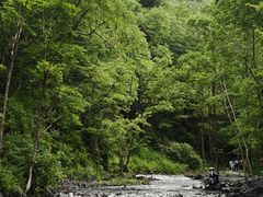 -凤凰山国家森林公园