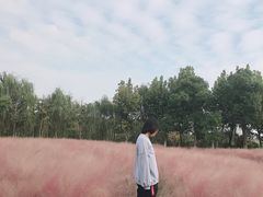-南湖湿地公园