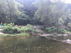 -雾灵西峰
