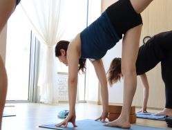 -酉嘉瑜伽YO+YOGA