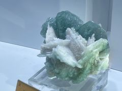 -天津梅江会展中心