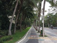 -元气寿司(金光华店)