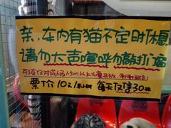 -猫咪博物馆(顶澳仔猫街店)