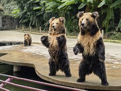 -贵州森林野生动物园