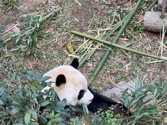 -黔灵山公园