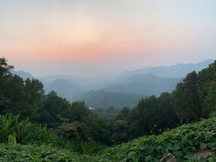 -广州市石门国家森林公园