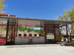 -大望京公园