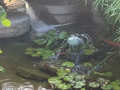 -蘇河湾·新鲁菜·泰山宴(泰山店)