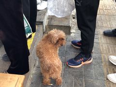 -增盛魁小吃店