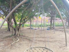 -天适樱花悠乐园