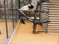 -石家庄市动物园