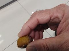 -好好栗子店(海宁总店)