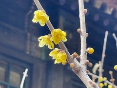 -颐和园