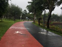 -万绿园