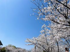 -湘湖金融镇