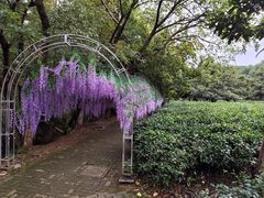 -宝岩生态观光园