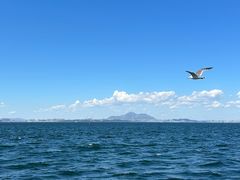 -大连海昌东方水城