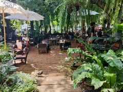 -Fern Forest Cafe