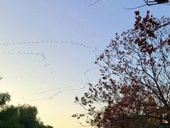 -集美鳌园景区