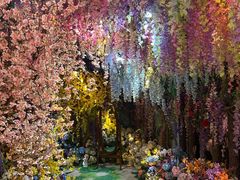 -正佳雨林生态植物园