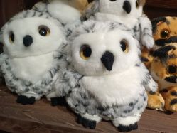 -Zoolung Zoolung动物主题公园(海信广场店)