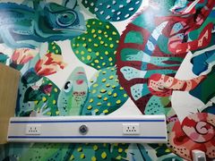-瑞派名望24h动物医院异宠专科·猫专科·骨科·重症监护分院