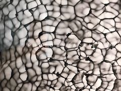 -胶囊画廊