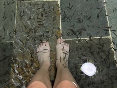 -兴芮温泉度假区